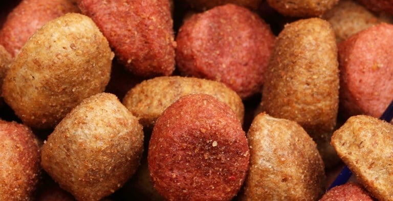 Animal Food & Health