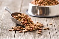 How Trends in Pet Ownership and Food are Shaping Pet Food Processing Equipment Decisions How Trends in Pet Ownership and Food are Shaping Pet Food Processing Equipment Decisions
